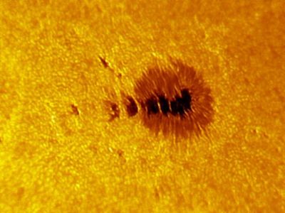 Sunspot