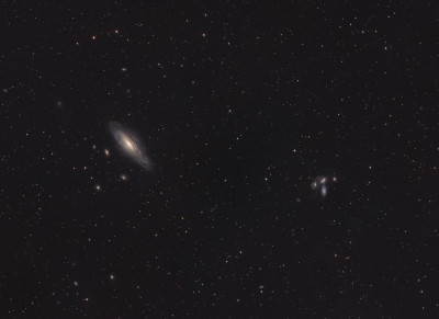 The deer lick group & Stephan’s quintet 