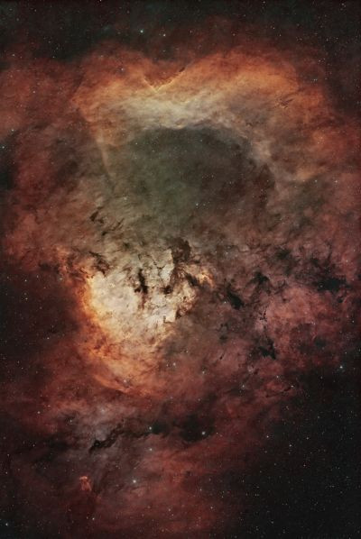 NGC 7822 Teddy Bear, RASA 8", 3hrs