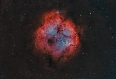 IC 1396A - Elephant's Trunk Nebula