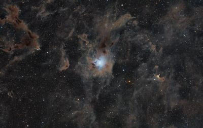 NGC 7023 Iris Nebula - Astrophotography