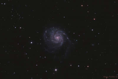 Галактика Вертушка (М101) 16.02.2024 - астрофотография