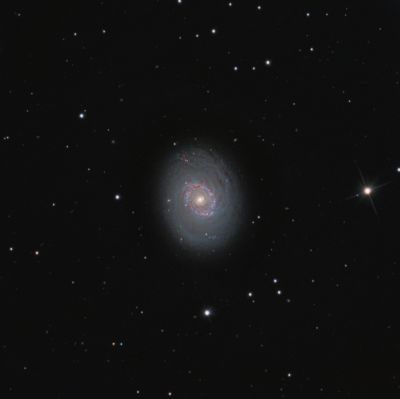 M94 - Cat's Eye Galaxy