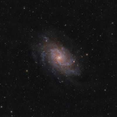 M 33 