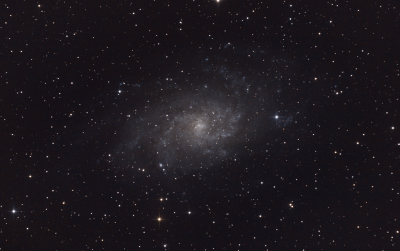 M33