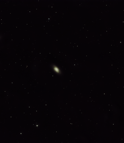 M64