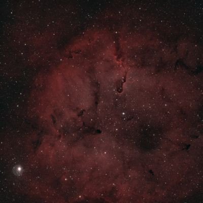 IC1396 Elephant's Trunk - Astrophotography