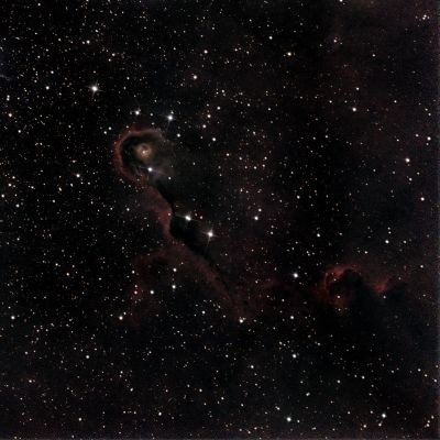 IC 1396A - Astrophotography