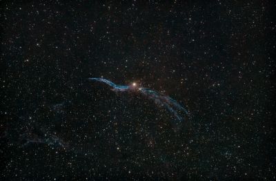 Ведьмина метла, Вуаль