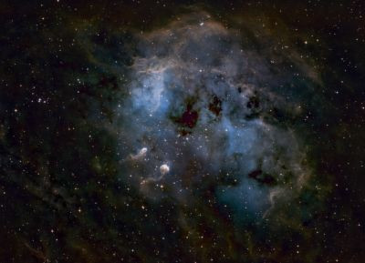 IC 410 головастики