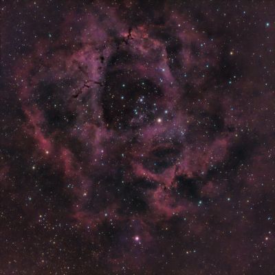 LBN949 Туманность Розетка Rosette nebula, NGC 2237