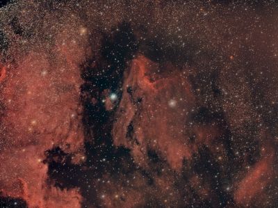 IC 5070 Pelican Nebula