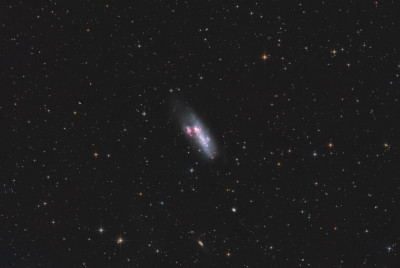 The pair NGC2363 and NGC2366 in LRGB+Ha - Astrophotography