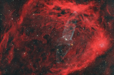 Sh2-129 Flying Bat Nebula and OU4 Squid Nebula - Astrophotography