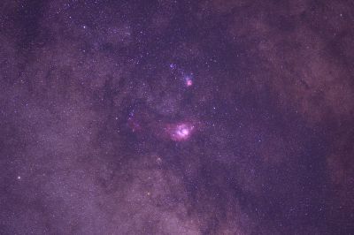 Лагуна одиночник