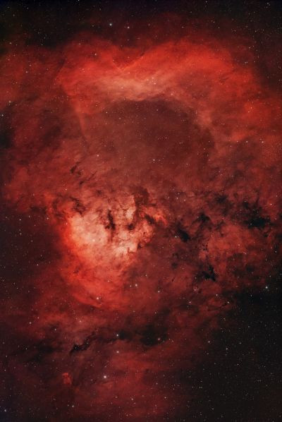NGC 7822 Teddy Bear, RASA 8", 3hrs