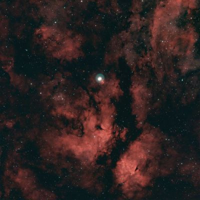 Sadr surroundings of Cygnus - Astrophotography