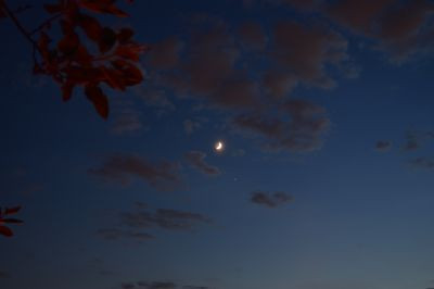 Moon and Jupiter 20.05.26 - Astrophotography