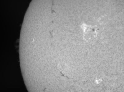 Sun AR 4425 29.04.2026 10:55 UTC+05 - Astrophotography