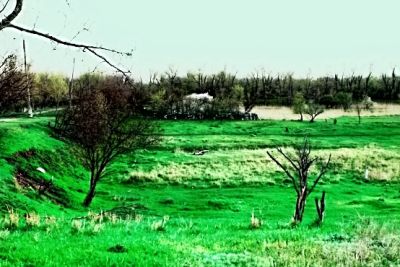 Лето в моём городе.