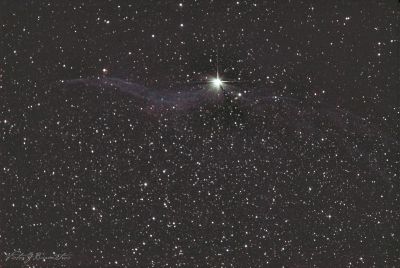 Ведьмина метла