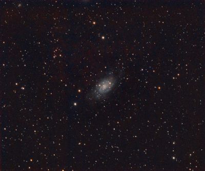 NGC2403