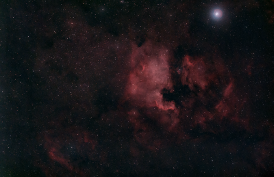 Северная Америка, Пеликан и ракушка