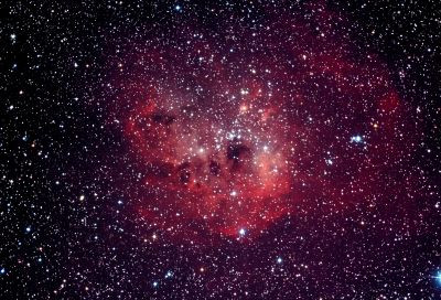 IC 410 - Tadpoles Nebula