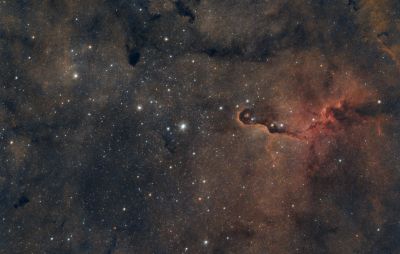 IC1396 Хобот слона