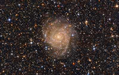 IC342 The Hidden Galaxy