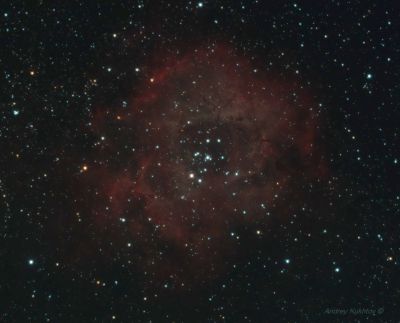 Туманность Розетка (NGC 2237) - астрофотография