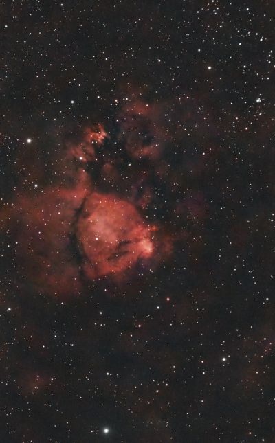 LDN-1373 - Fishhead Nebula