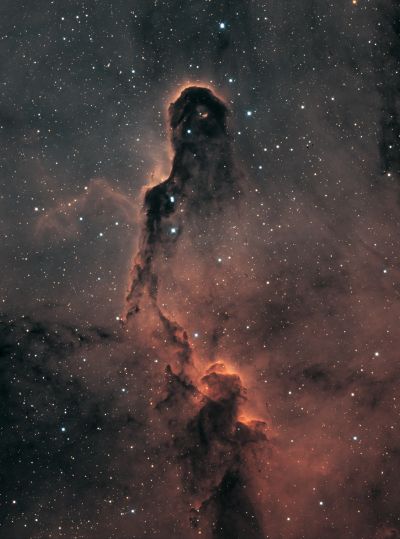 IC 1396 Elepant Trunk in Bi-Color (crop)