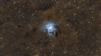 Caldwell 4 - Astrophotography