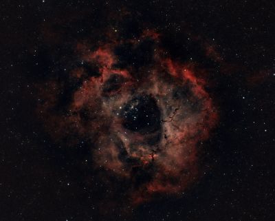 Туманность Розетка (NGC 2238)