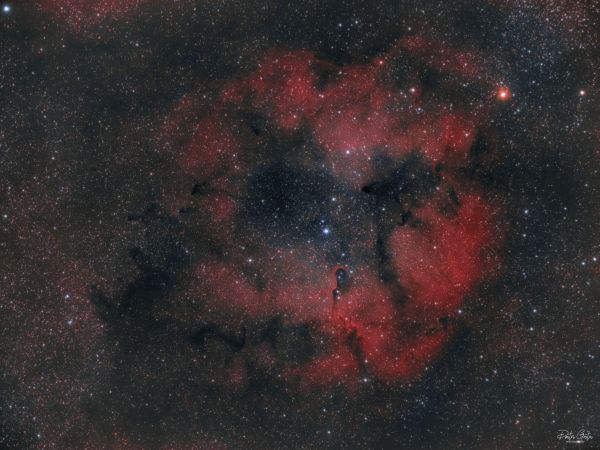 IC1396, Elephant's trunk nebula - астрофотография