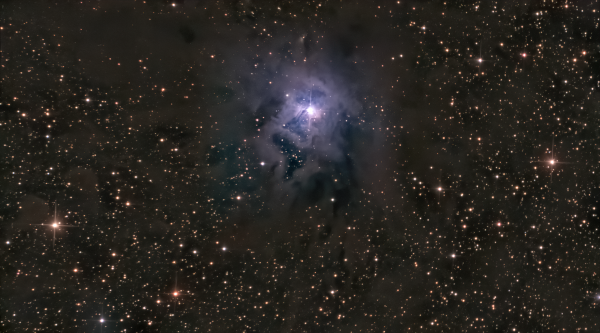 IRIS Nebula (NGC_7023) - астрофотография