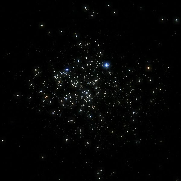 Wild Duck Cluster (M11) - Astrophotography