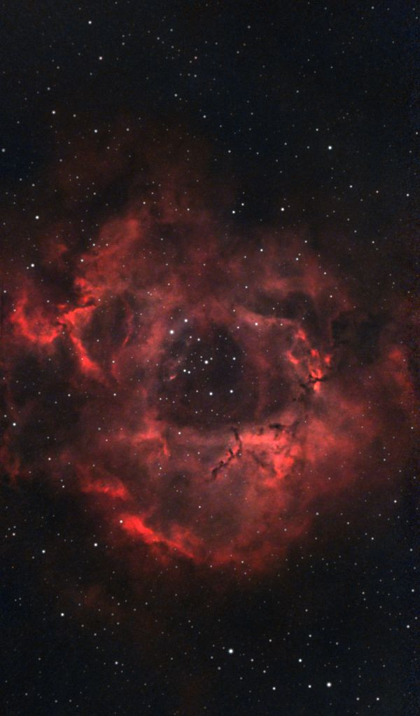 NGC 2237 - Rosseta Nebula - 2026-03-23 - Astrophotography
