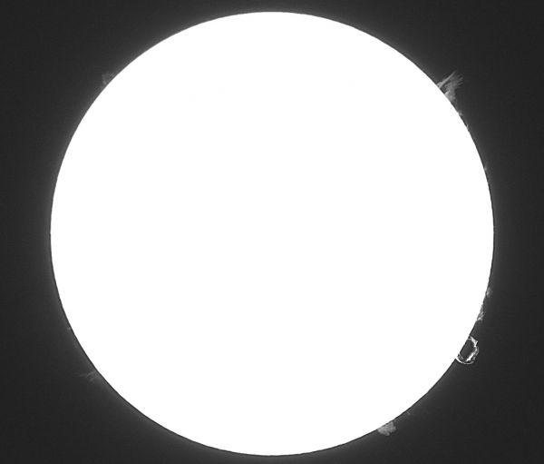 Солнце . Арка и Солнечные протуберанцы. 17.08.2021.       - астрофотография