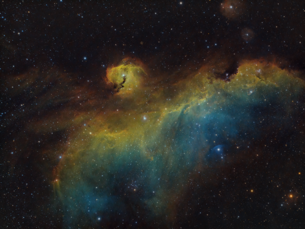 IC2177 - The Seagull Nebula - астрофотография