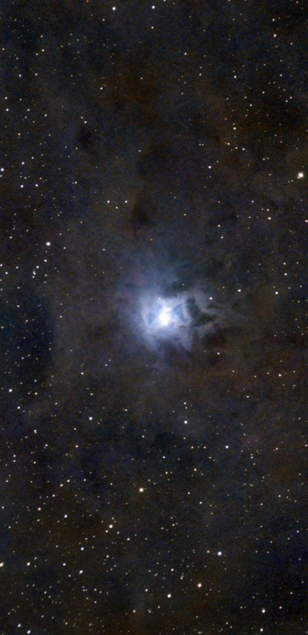 NGC 7023 - Iris nebula - 20 hours - Astrophotography