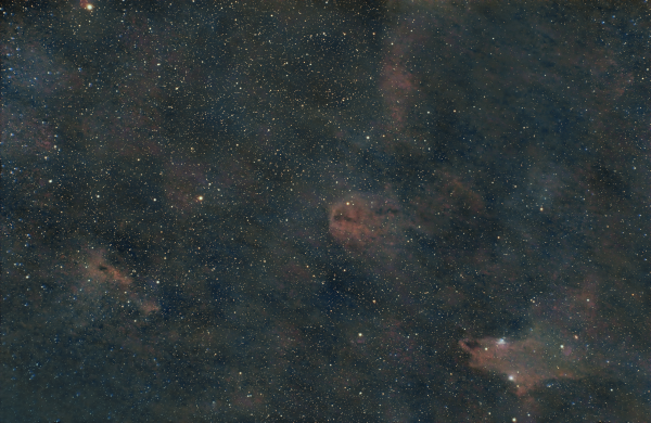 Shark Nebula LDN 1235, Lynds Nebula LDN 1251, пыль в Цефее - астрофотография