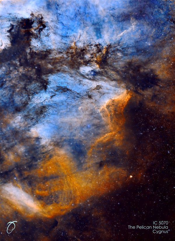 IC 5070 Pelican Nebula - Astrophotography