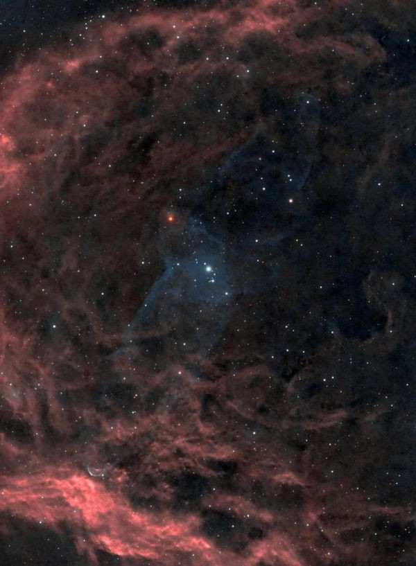 SH 2-129 The Bat has swallowed the squid - Astrophotography