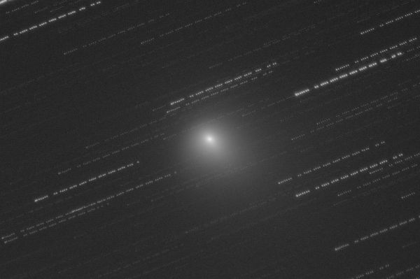 Комета C/2023 E3 (ZTF) 03-02-2023 - астрофотография