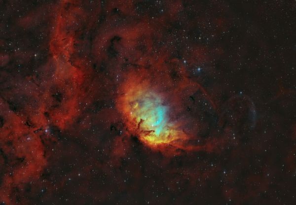 SH2-101 LBN 168  «Туманность Тюльпан» в палитре Foraxx - астрофотография