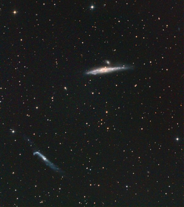 NGC 4631 and NGC 4656 - Whale and Hockey Stick Galaxies - Astrophotography
