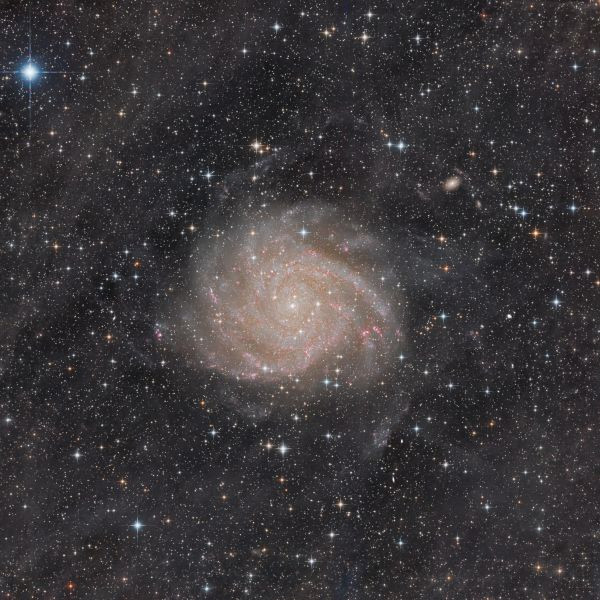 IC 342 (Caldwell C5) - Astrophotography