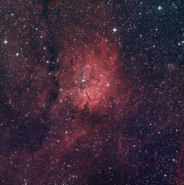 NGC 6823 - астрофотография